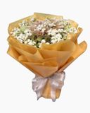  Felicity - BT32 - Hoa 8/3 