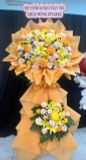  Kệ Hoa Ánh Nắng - HCM125 