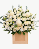  Hộp Hoa Ánh Trắng Tinh Khôi - HH228 