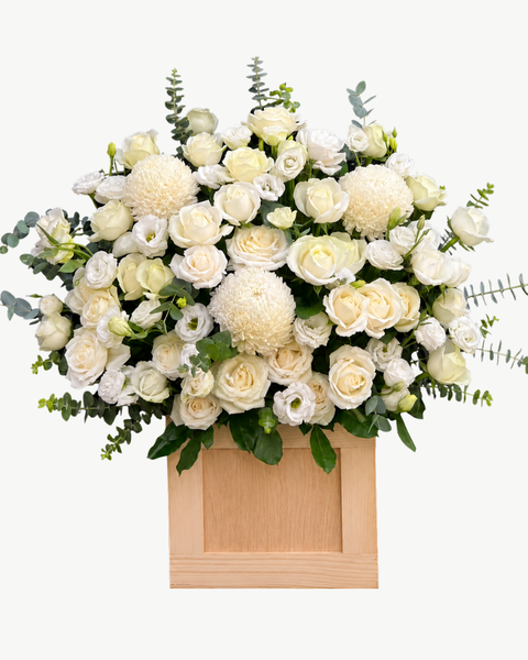 Mẫu Hộp Hoa Tươi Cao Cấp, Sang Trọng - Hoa Hồng Cắm Hộp Đẹp Nhất: Hộp Hoa Ánh Trắng Tinh Khôi - HH228