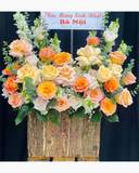  Hộp Hoa Nhạc Tình - HH89 