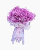  Giấc Mơ Màu Hồng - HBT79 