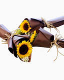  Giấc Mơ Nhỏ Bé - HBD34 - Ngày Của Mẹ 