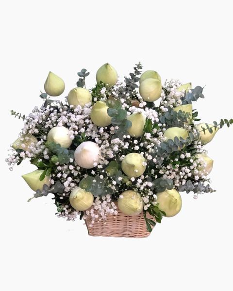 gio-hoa-sen-trang-hg24