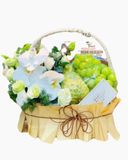  Giỏ Trái Cây Tặng Mẹ - GTC105 - Quà Tặng Mẹ 
