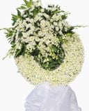  Hạ Trắng - HTL17 - Vòng Hoa Tang Lễ 