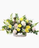  Hello Ngày Mới - HG33 