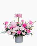  Hộp Hoa Bong Bóng Tone Hồng - HBB09 