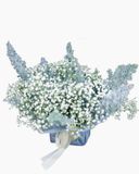  Hoa Để Bàn - Ovan 13 