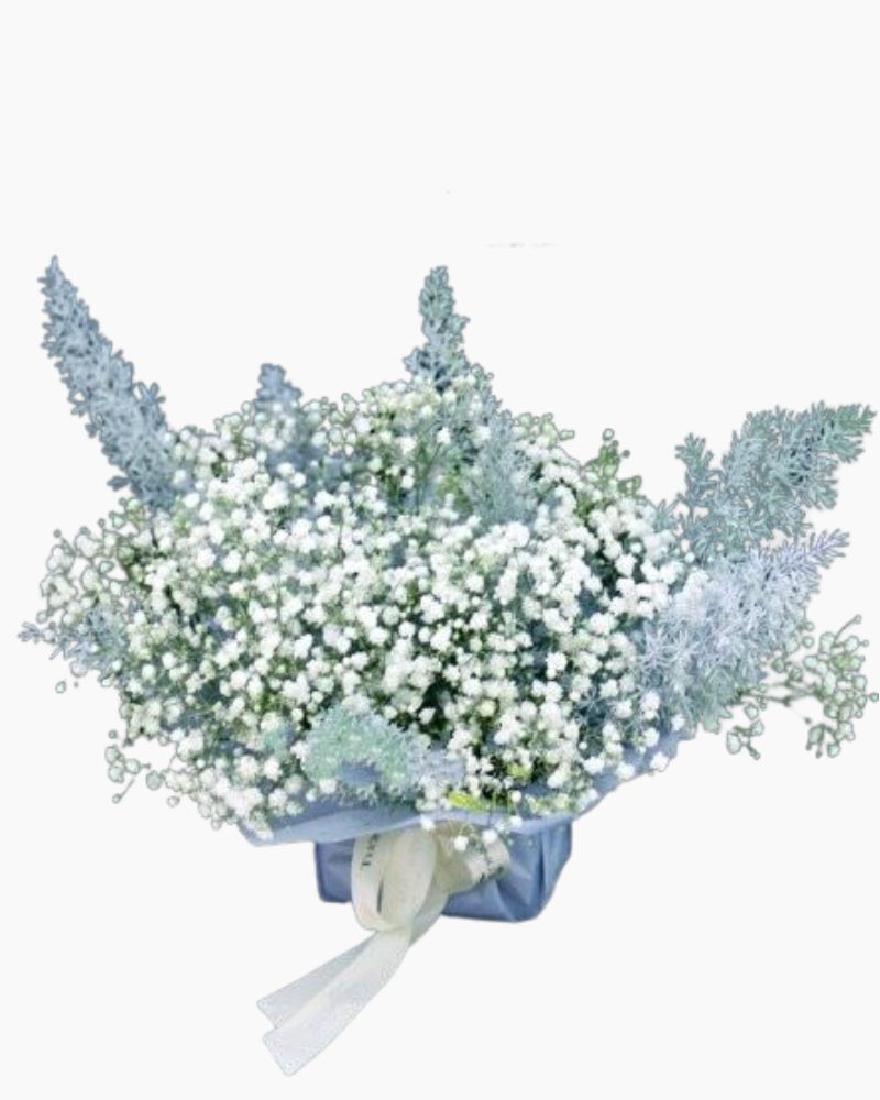  Hoa Để Bàn - Ovan 13 