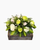  Hoa Để Bàn - Ovan 15 - Hoa Đẹp 20/11 