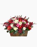  Hoa Để Bàn - Ovan 17 