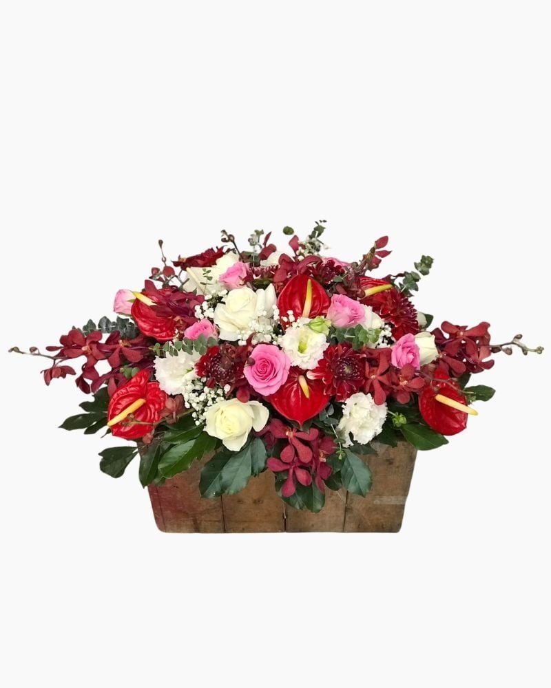  Hoa Để Bàn - Ovan 17 