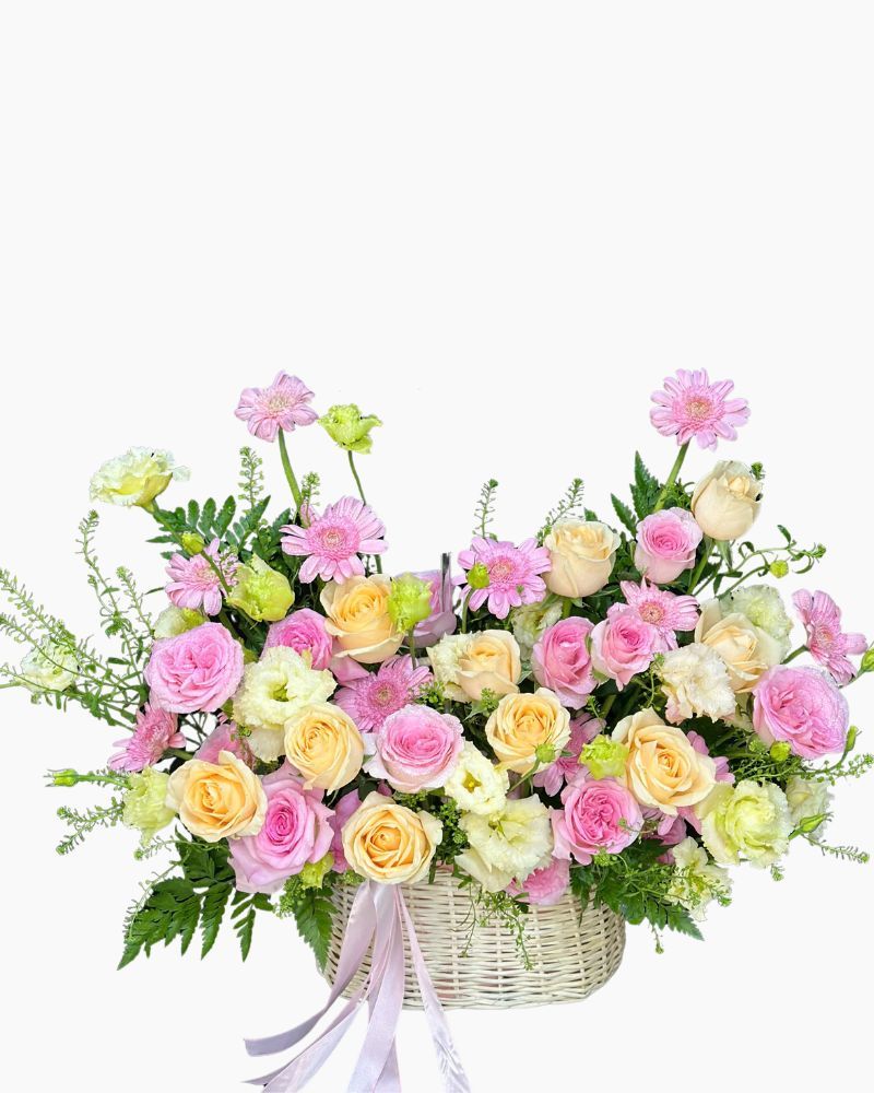  Hoa Giỏ An Nhiên - Hoa 20/10 - HG72 