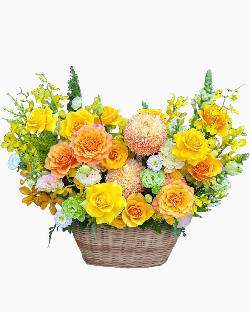  Hoa Giỏ Nắng Xuân May Mắn - Hoa 20/10 - HG76 