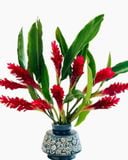  Hoa Hạnh Phúc (Hoa Riềng Đỏ) - Hoa Tươi Cắt Cành 