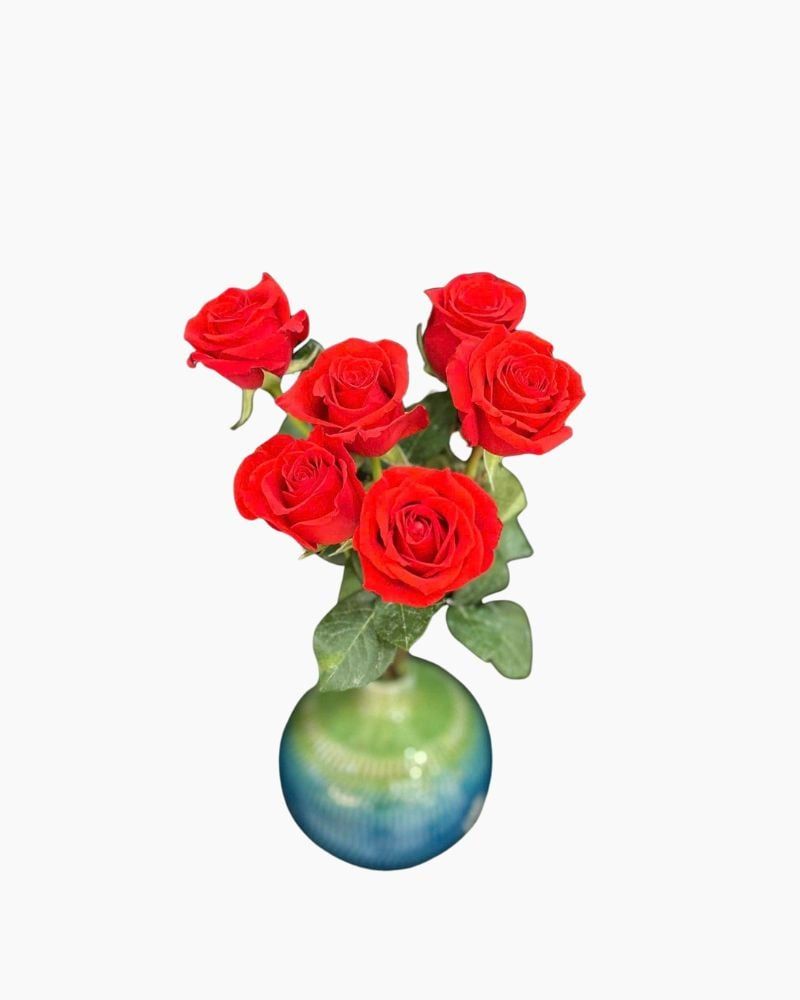  Hoa Hồng Đỏ - Hoa Cắt Cành 