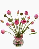  Hoa Sen - Hoa Cắt Cành 