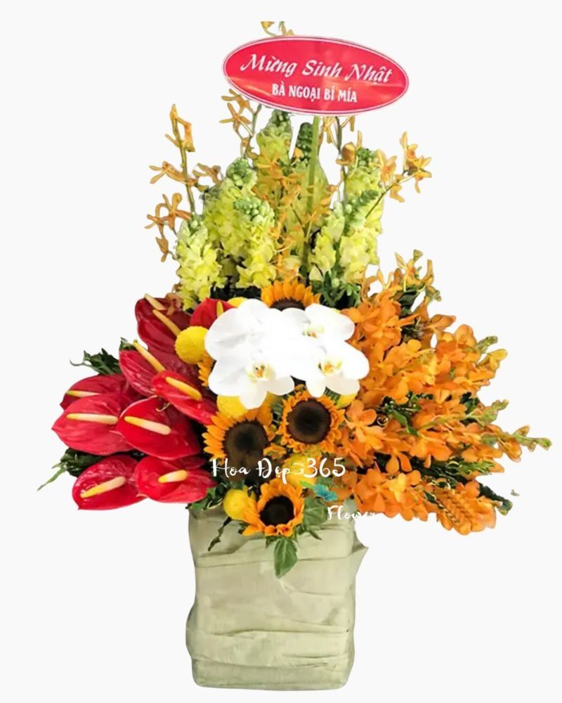  Hộp Hoa Hương Mùa Hè - HCH101 