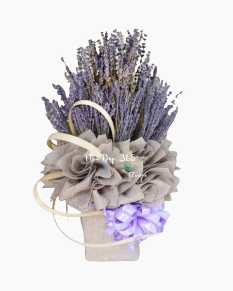 hop-hoa-lavender-gian-di-lvd05