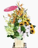  Hộp Hoa Morning Of Garden - HCH98 