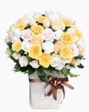  Hộp Hoa Ngày Mới Nắng Lên - HCH102 