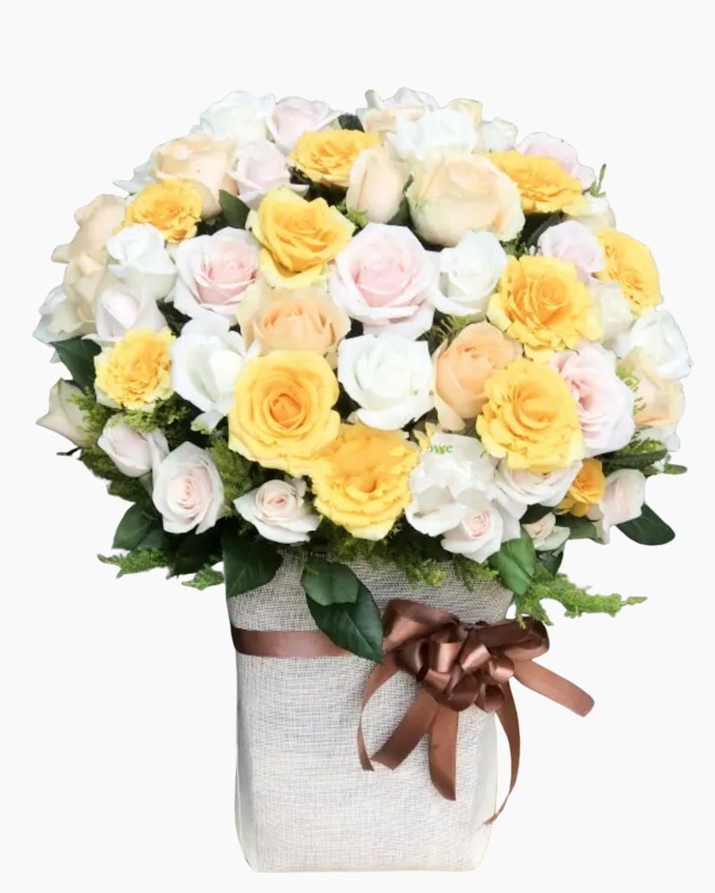  Hộp Hoa Ngày Mới Nắng Lên - HCH102 