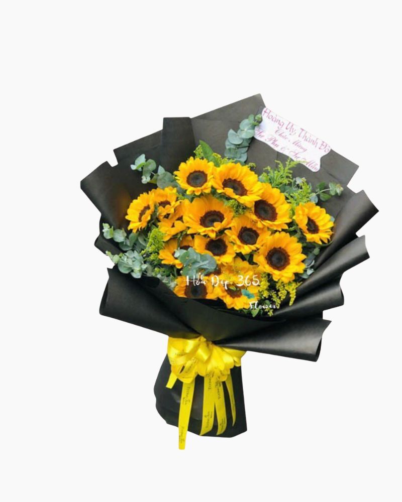  Hướng Dương - HBD180 