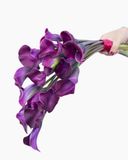  Bó Hoa Cưới Cầm Tay I Wanna Grow Old With You - HC41 