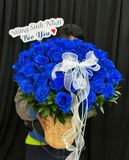  Hoa Giỏ Lời Thương Trong Sáng - Hoa 20/10 - HG68 