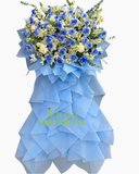  Bầu Trời Thành Danh - HCM85 