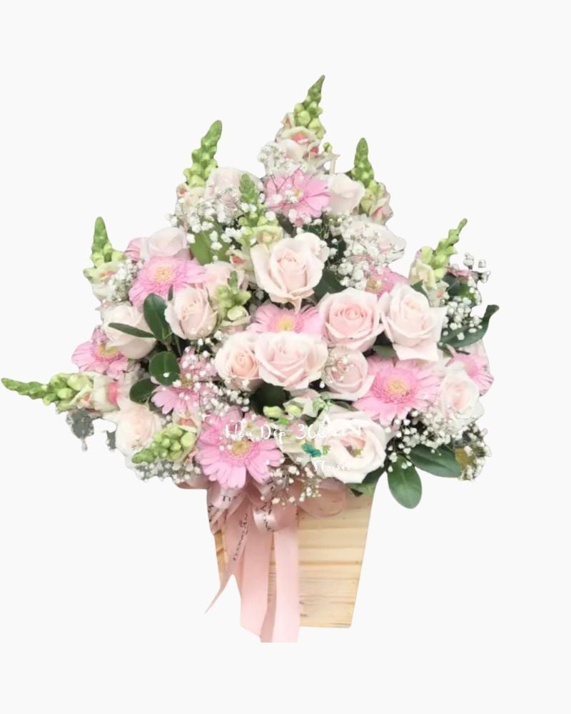  Little Girl - HCH18 - Hộp hoa tươi 