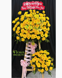  Kệ Hoa Phát Vàng - HCM96 