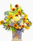  Ngày Nắng - HCH77 