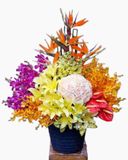  Ngày Tươi Vui - HCB07 