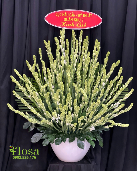 Mẫu Hoa Huệ đẹp giá rẻ: Bình Hoa Huệ Xanh - HCB82