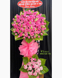  Kệ Hoa Hồng Dâu - HCM87 