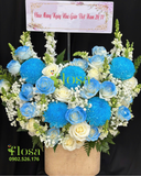  Hộp Hoa Ánh Dương- HH103 