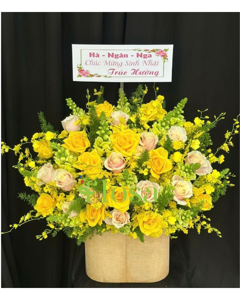  Hoa Hộp Phú Quý Cát Tường-HH79 