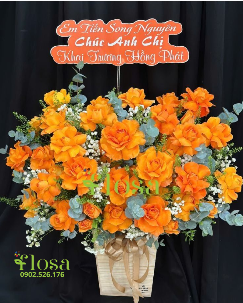  Hoa Hộp Nắng Mai Hạnh Phúc-HH78 