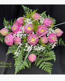  Hồng Sen Dịu Dàng  - BPB18 