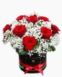  Rose Red White - HH12 