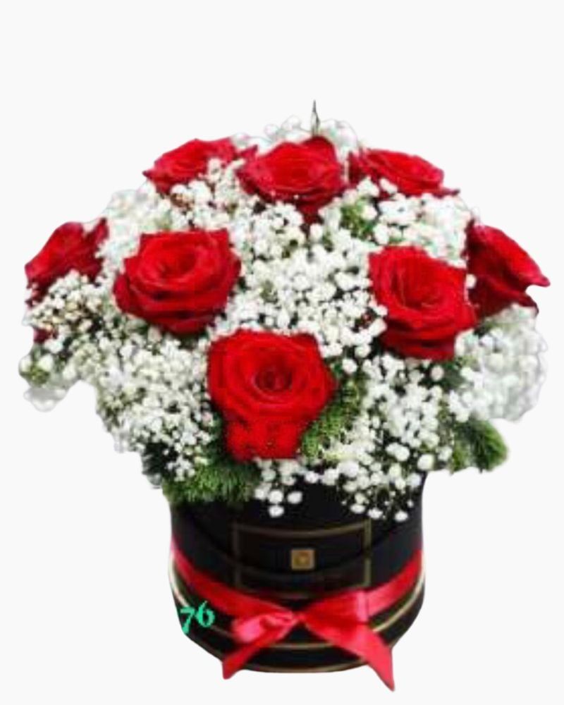  Rose Red White - HH12 