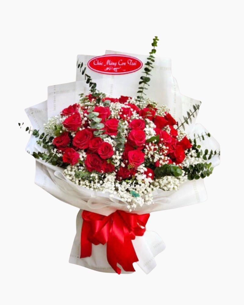  Sắc Đỏ - HBD174 