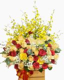  Sắc Màu Hạnh Phúc - HCH88 