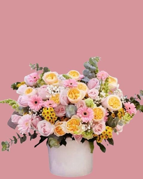 sang-ngoi-hcb19-hoa-tang-me