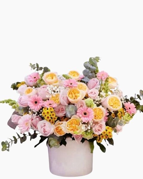 sang-ngoi-hcb19-hoa-tang-me