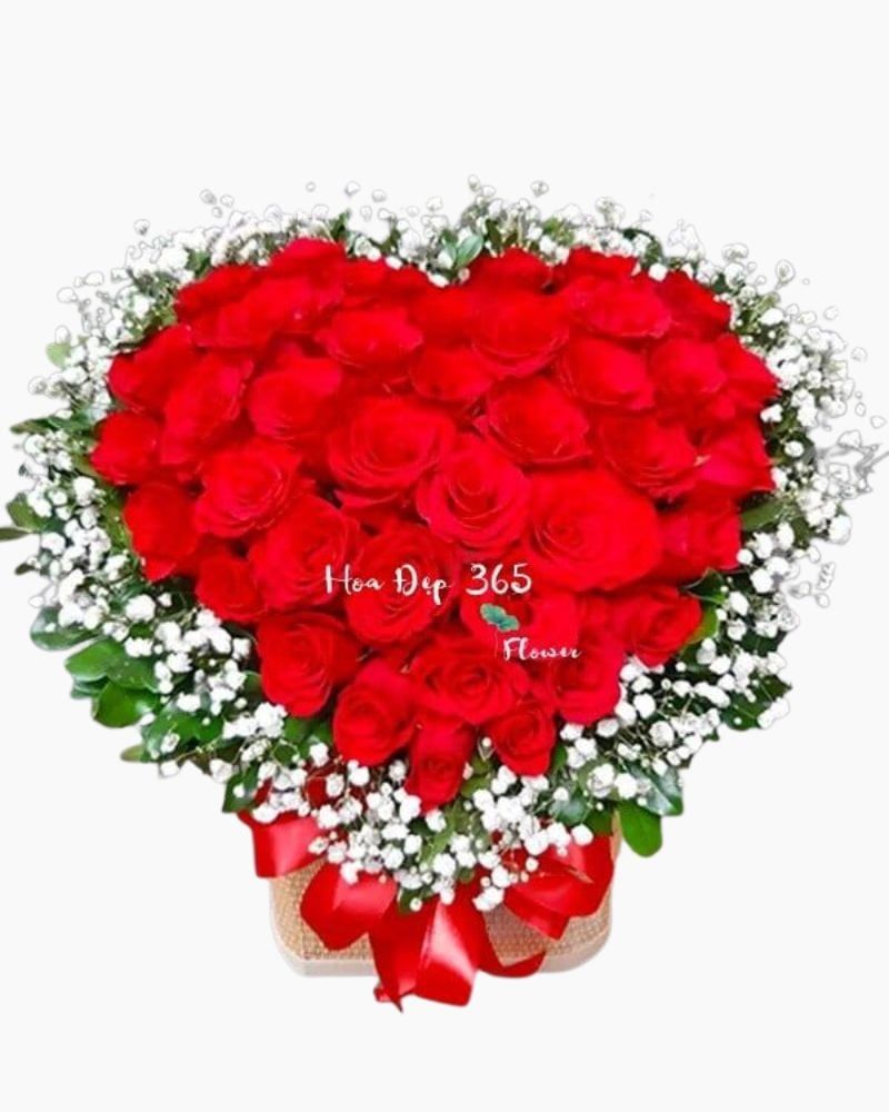  Sincere Heart - HG56 