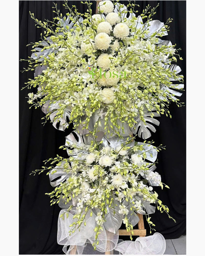  Thương Sâu Sắc - HTL149 