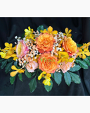  Sắc Cam Hào Quang - BPB15 